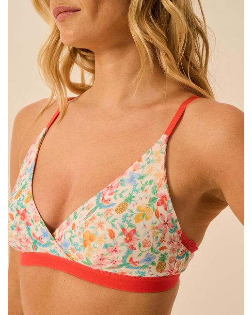 Stripe & Stare Multicolor Crossover Bra