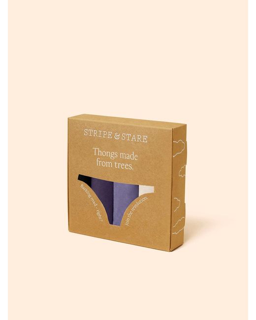 Stripe & Stare Purple Thong Four Pack