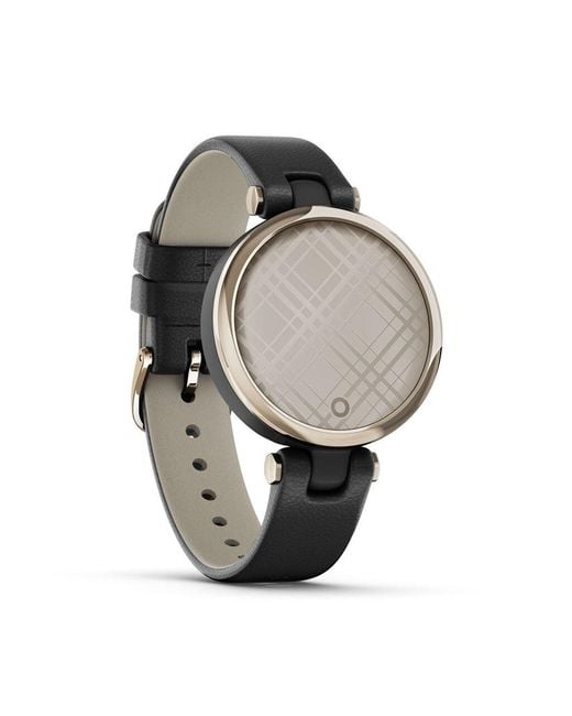 Smartwatch Classic Edition 010-02384-b1 di Garmin in Gray