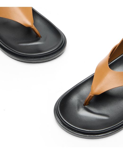 Stuart Weitzman Brown Marykate Sandal