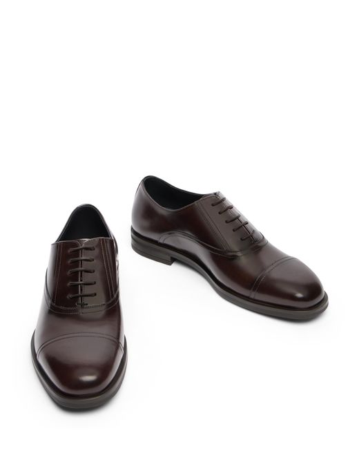 Stuart Weitzman Brown Sw Club Classic Oxford for men