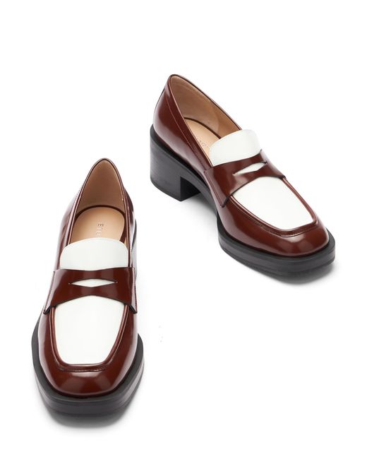 Stuart Weitzman Brown Kaia 40 Loafer