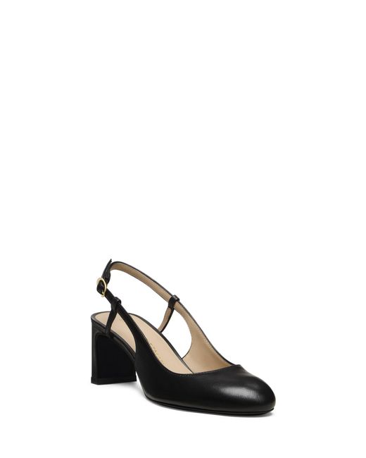 Stuart Weitzman Black Babette Slingback 60