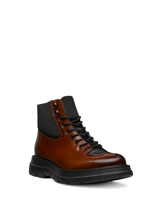 Stuart Weitzman Adam in Brown für Herren