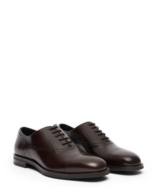 Stuart Weitzman Brown Sw Club Classic Oxford for men
