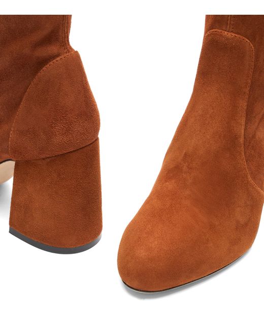 Stuart Weitzman Brown Essentialist Stretch 85