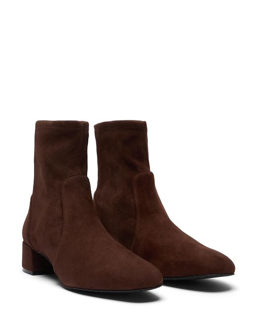 Stuart Weitzman Brown Maeve Bootie