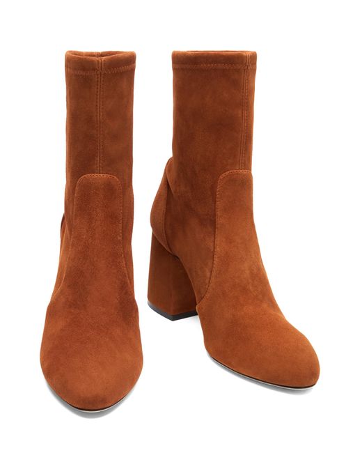 Stuart Weitzman Brown Essentialist Stretch 85