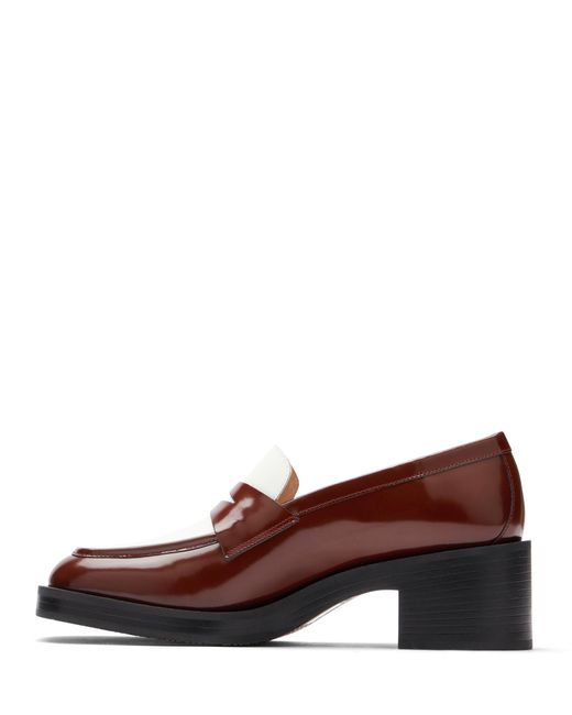 Stuart Weitzman Brown Kaia 40 Loafer