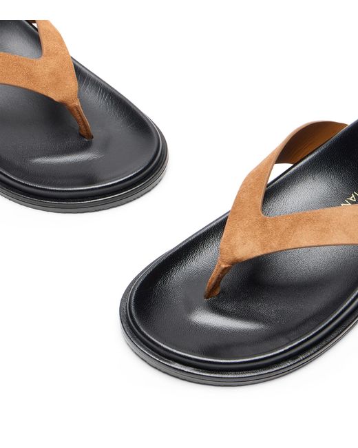 Stuart Weitzman Brown Marykate Thong Sandal