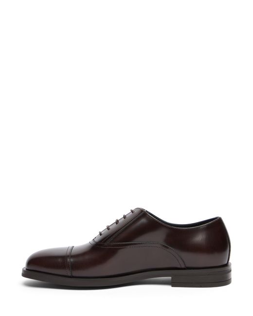 Stuart Weitzman Brown Sw Club Classic Oxford for men