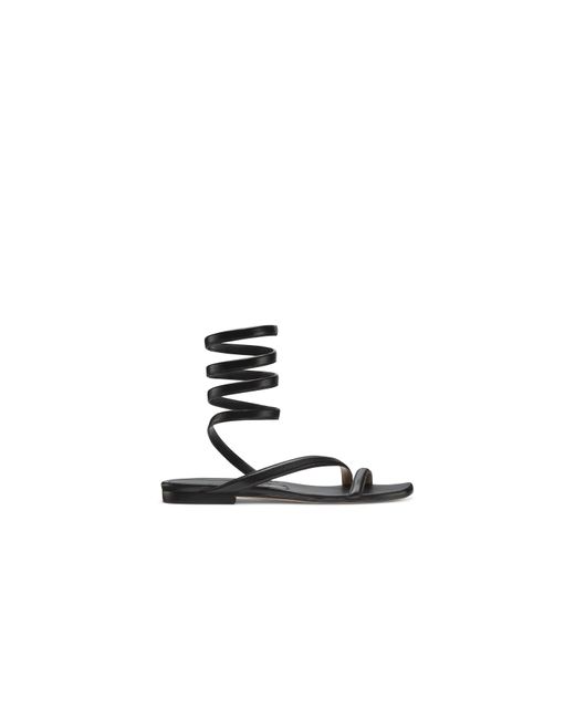 beatrix stuart weitzman