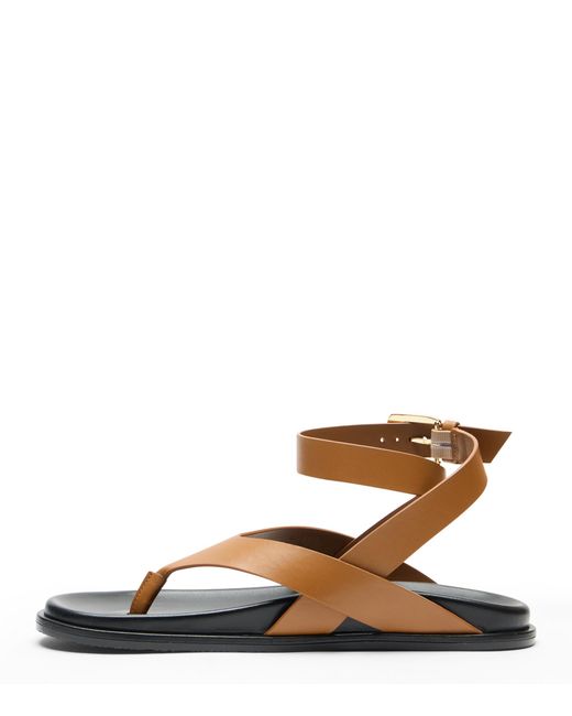 Stuart Weitzman Brown Marykate Sandal