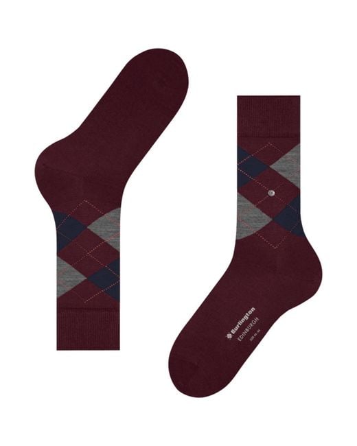Burlington Purple Edinburgh Socks for men