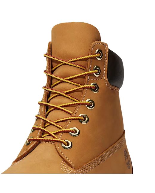 Timberland Brown Premium 6-Inch Waterproof Boot for men