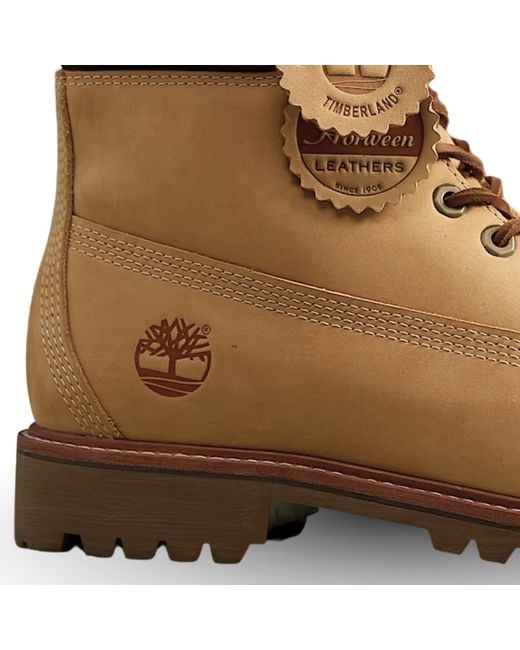 Timberland Brown Luxe Waterproof Boot for men