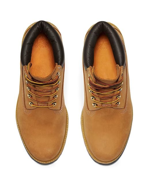 Timberland Brown Premium 6-Inch Waterproof Boot for men