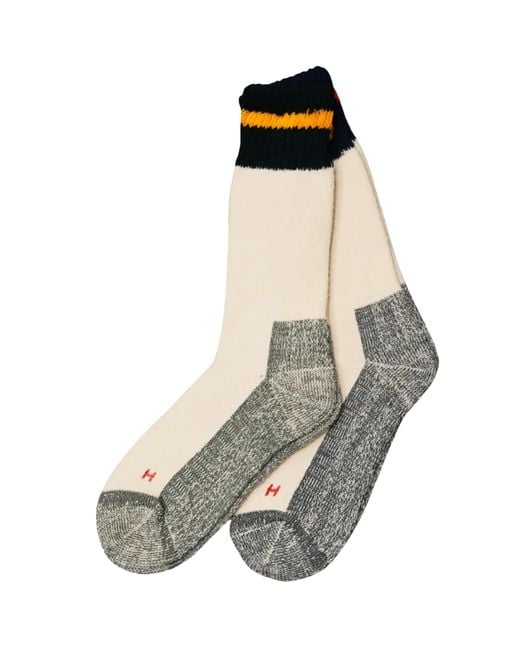 Healthknit Multicolor 2 Pack Socks for men