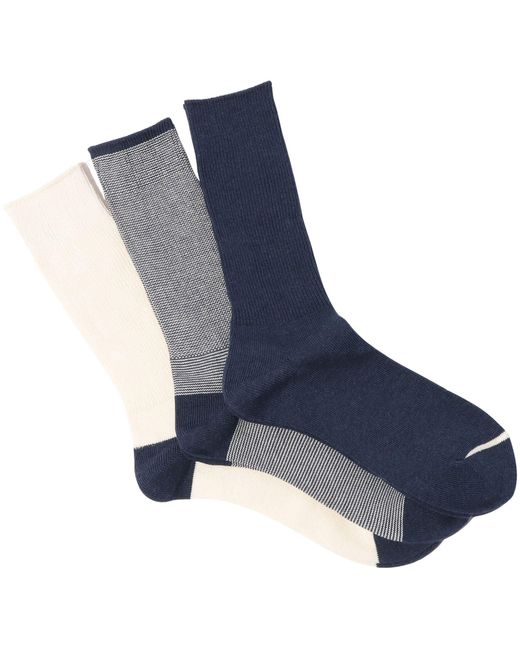 Anonymous Ism Blue American Rib 3 Pairs Pack for men