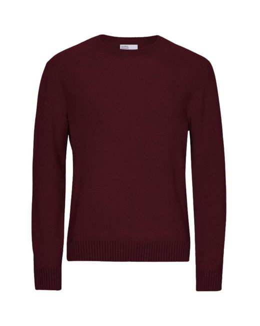 COLORFUL STANDARD Purple Classic Merino Wool Crew for men
