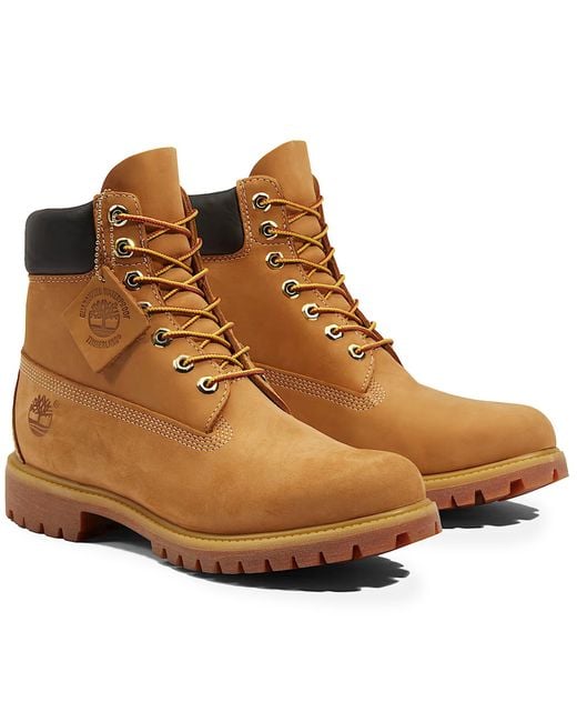Timberland Brown Premium 6-Inch Waterproof Boot for men
