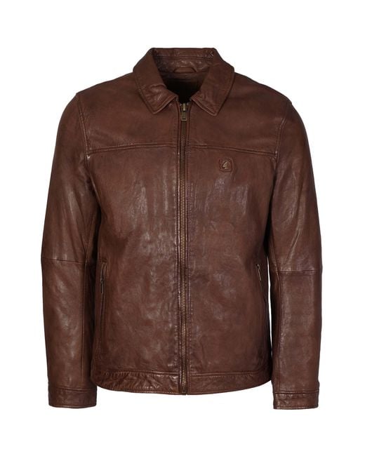 Gabicci Brown Gabicci Harrington Leather Jacket for men