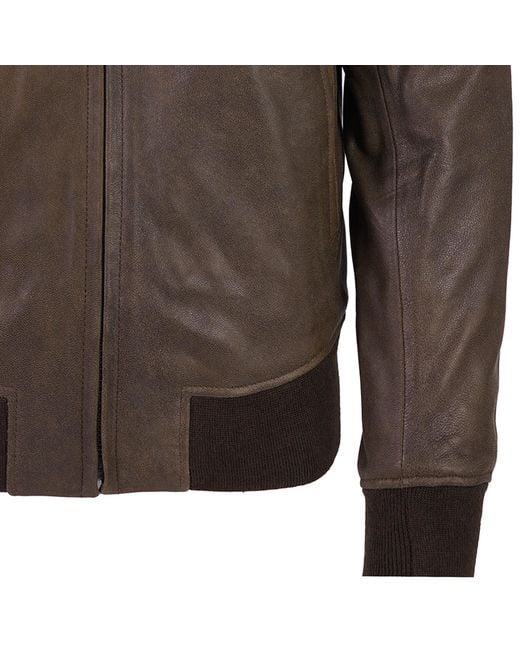 Schott Nyc Brown Leather Jacket for men