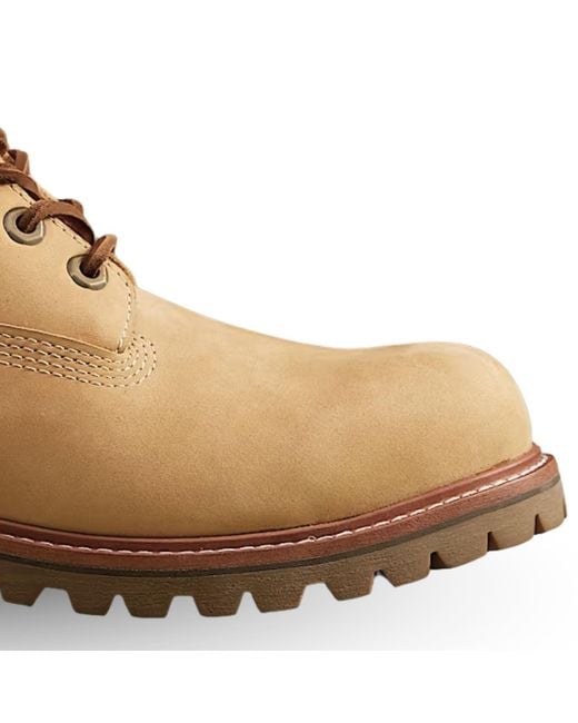 Timberland Brown Luxe Waterproof Boot for men