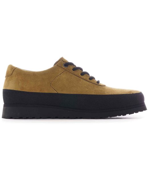 Tarvas Brown Explorer for men