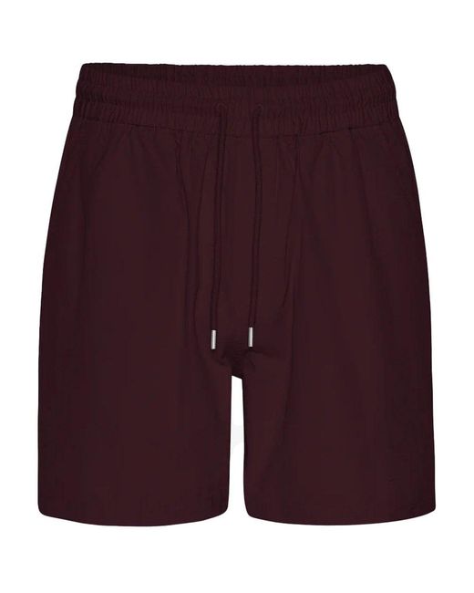 COLORFUL STANDARD Purple Organic Twill Shorts for men