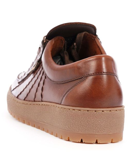 Mephisto Brown Mephisto Rainbow for men
