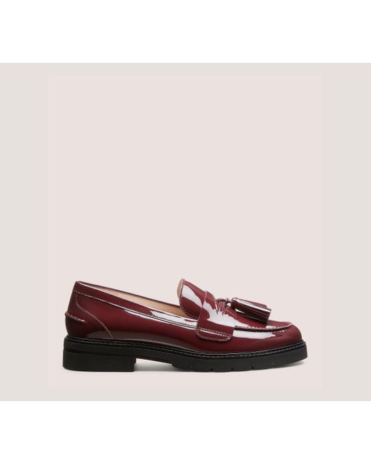 Stuart Weitzman Multicolor Adrina Loafer