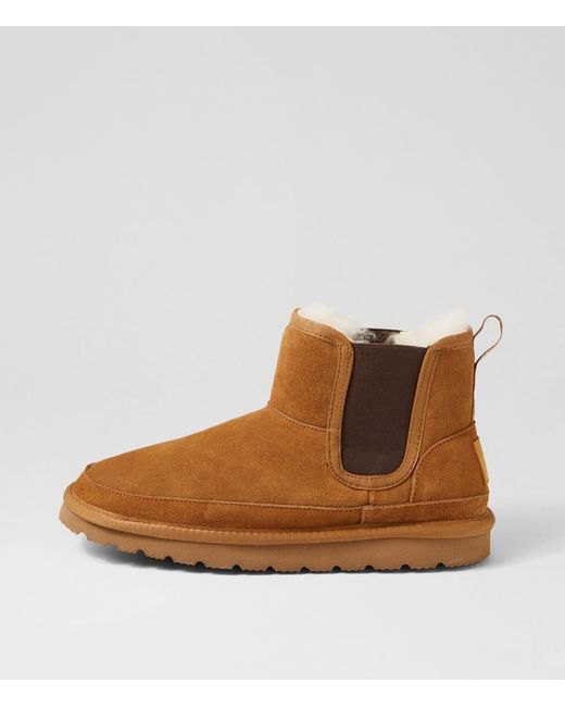 Hush Puppies Brown Saint M Hp Suede Boots for men