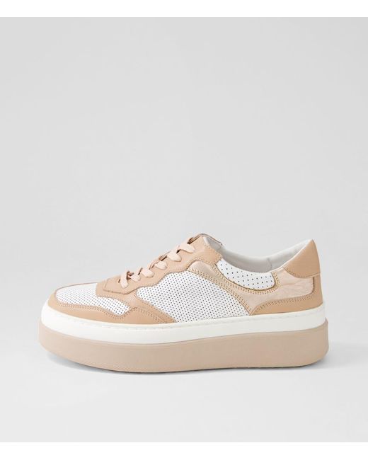 MOLLINI Natural Aware Mo White Dk Nude Leather White Dk Nude Sneakers