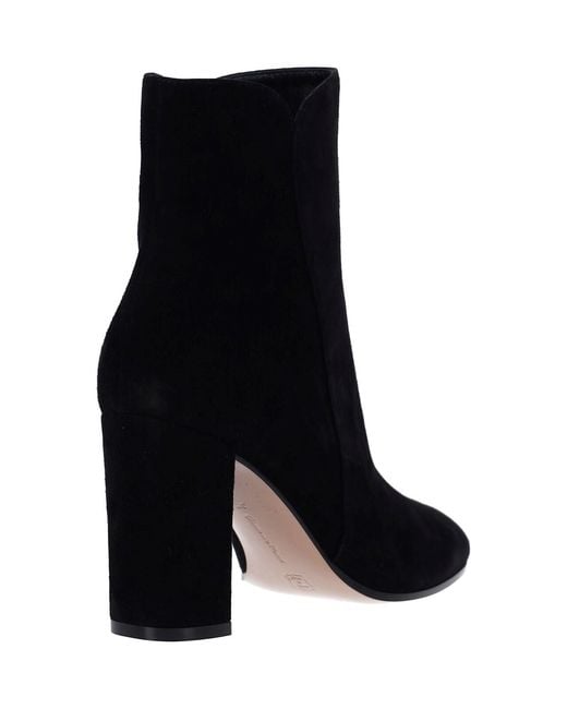 Gianvito Rossi Black Premium Goat Suede Ankle Boots
