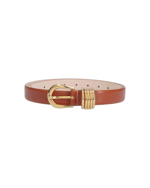 DEHANCHE Brown Belt "Hollyhock"