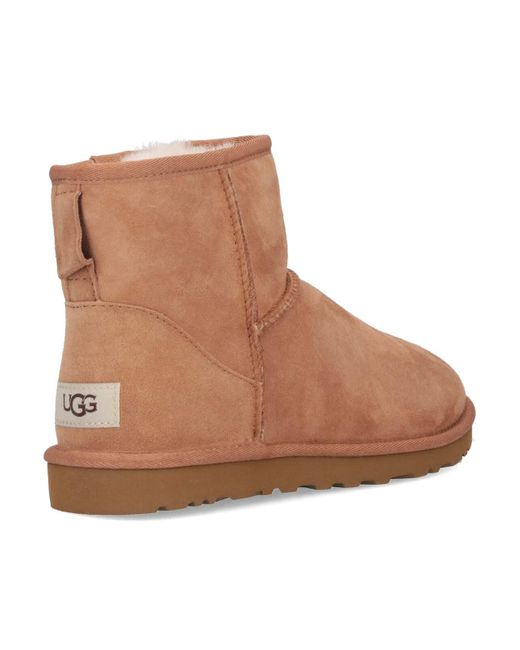 Ugg Brown 'classic Mini' Ankle Boots