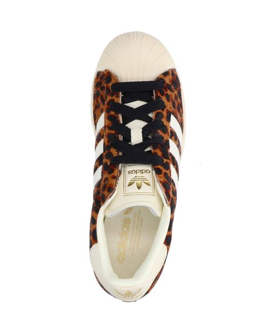 Adidas Brown Sneakers