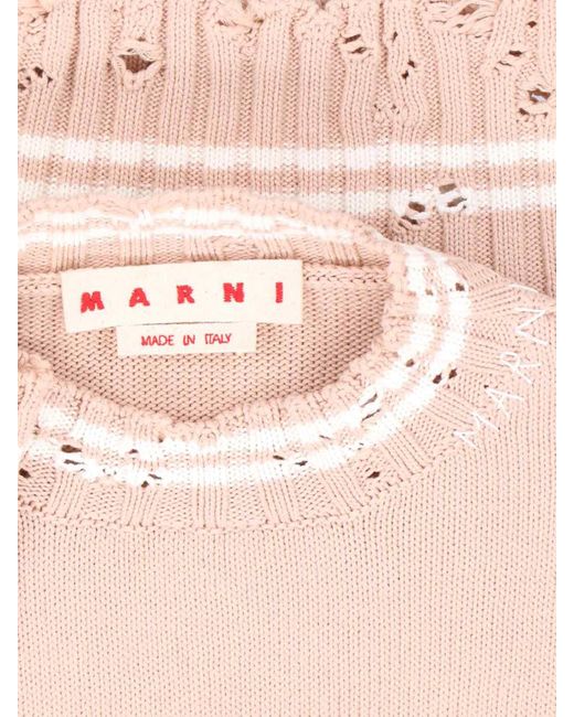 Marni Pink Crop Crewneck Sweater