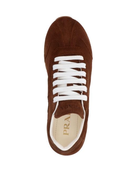 Prada Brown Suede Sneakers
