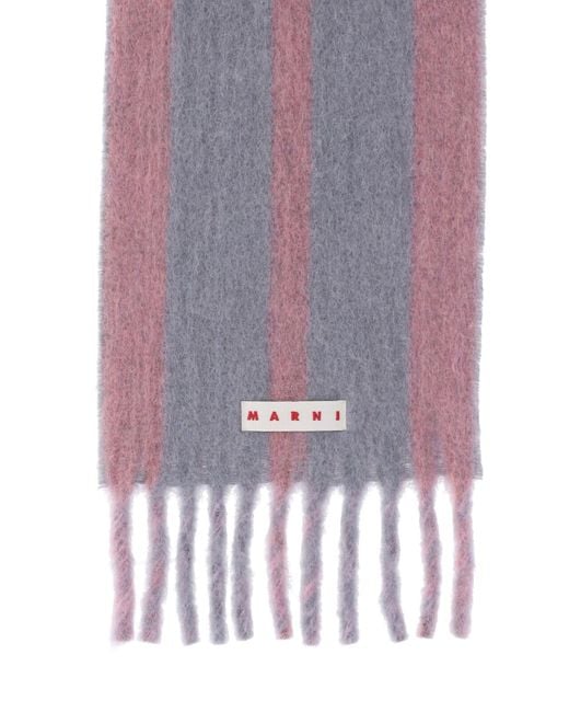 Sciarpa A Righe Logo di Marni in Purple