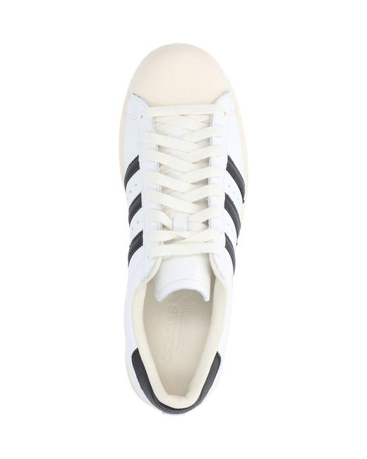 Adidas White Superstar Low Top Sneaker