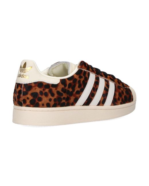 Adidas Brown Sneakers