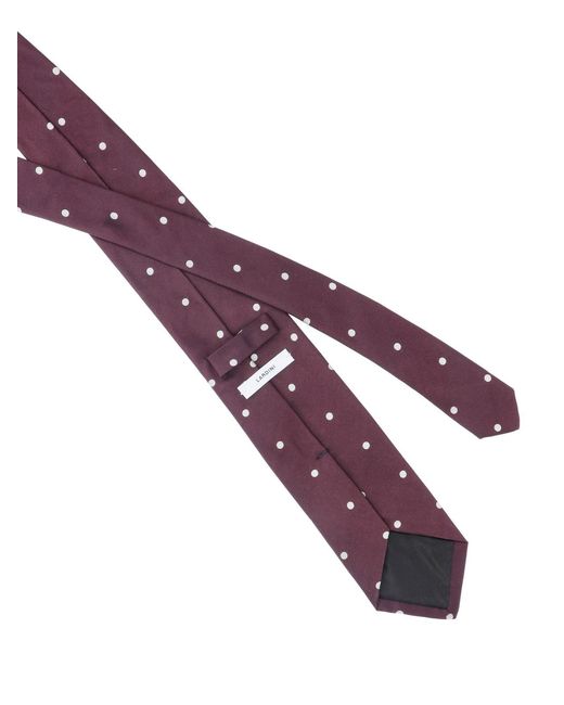 Lardini Purple Silk Tie for men