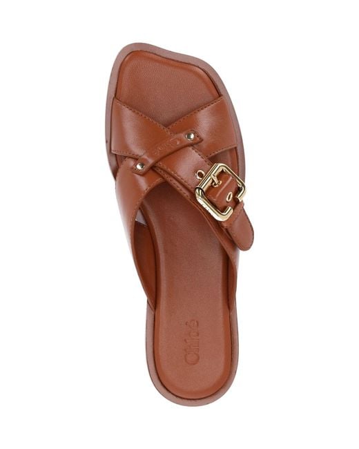 Chloé Brown Chic Leather Sandals For