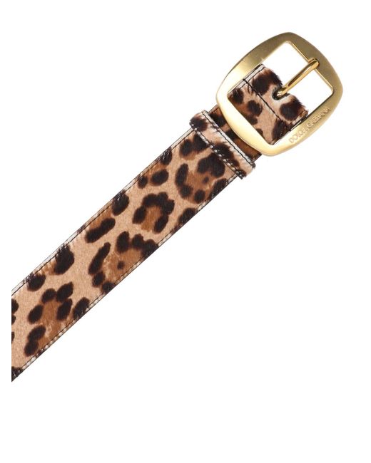 Dolce & Gabbana Brown Leopard Print Leather Belt With Oversized Buckle
