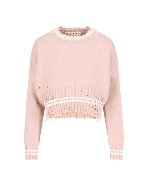 Marni Pink Crop Crewneck Sweater