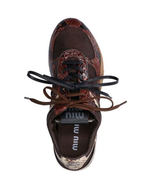 Miu Miu Brown "Gymnasium" Sneakers