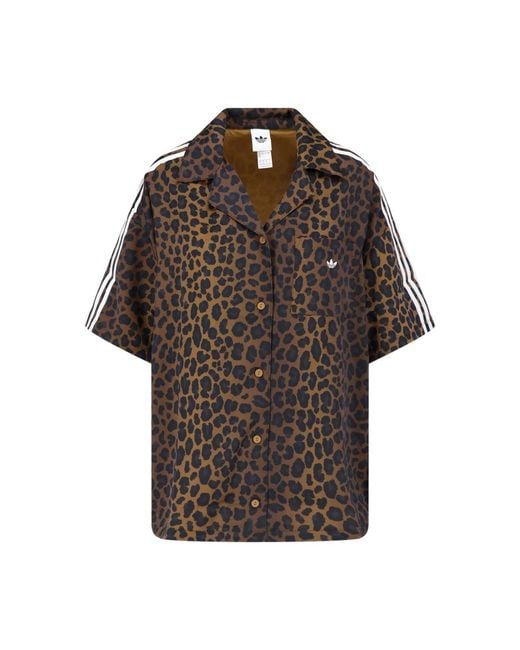 Adidas Brown Everyday Crewneck Shirt