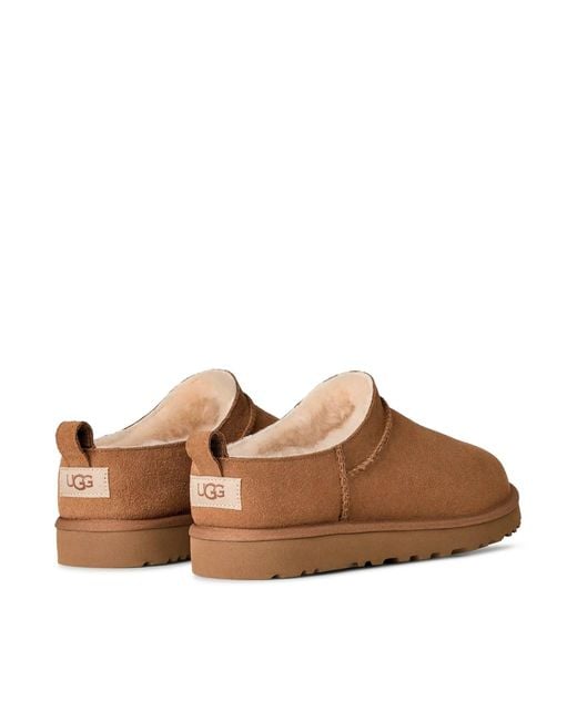 Ugg Brown Classic Micro Boots for men
